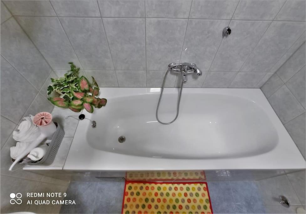 Antonio Apartma *