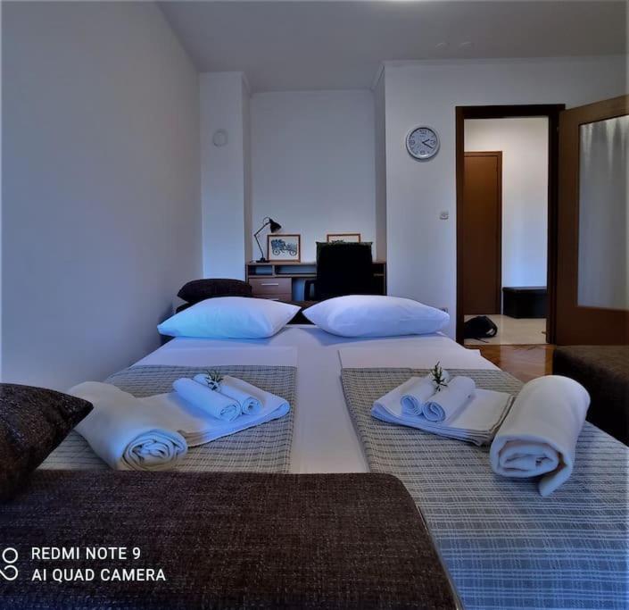 Apartma Antonio